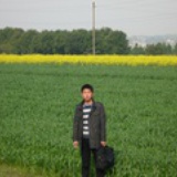 芝兰之节
