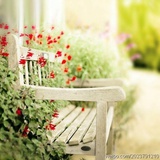 Cherry~