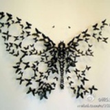 angeldilys