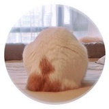 ° 砂糖豆子