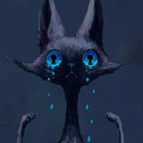 冬日的猫