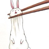 一朵向日葵
