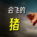 帕罗