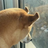倩