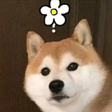 白杨妮妮