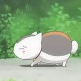 KAT