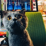 祉猷并茂海浪哥