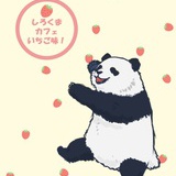 无情喵喵