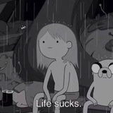 牛奶果珍