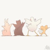 大猩猩与小星星