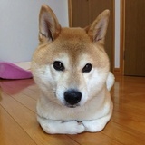 方小同