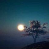 悟空