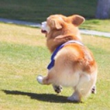 王小邪