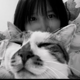 英国梨与小苍兰