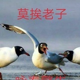 弗州土特产专营