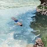 盛夏里