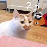 你谁啊