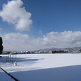 秋山由遠