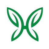 汉蝶