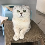 对方正在输入