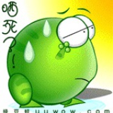 蒲公英