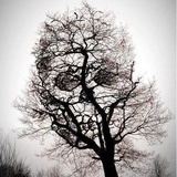 Echo.