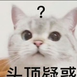 这有点内个