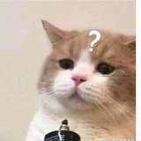 （・⊝・∞）