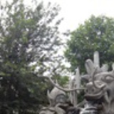 Jungle