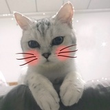 月野肥兔🐰
