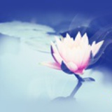 起风了
