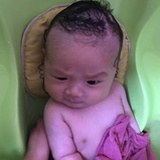 杨崽儿