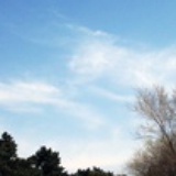 水陌菁菁