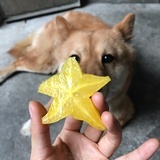 不准打瞌睡