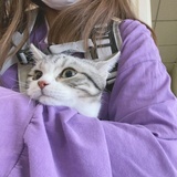 安小然。