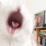 Chingsin