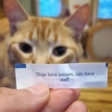我买还不行吗！