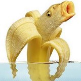 临观fu