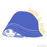 没养猫