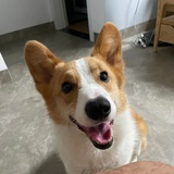 Jeffrey