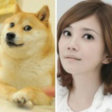 爱吃萝卜爱吃菜