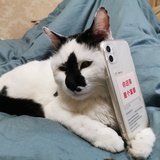 波妞