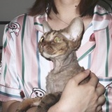 河童