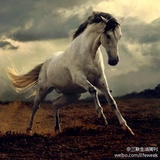 版画儿