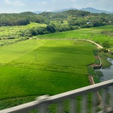 小猫上路