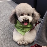 小葵