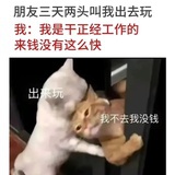 云苓小河
