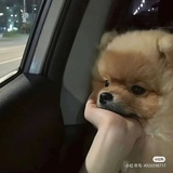 哈啦啦哈北