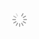 正在加载中