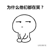 荷兰猪